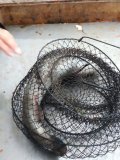 IMG-20240409-WA0043.jpg