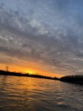IMG_0890.jpeg