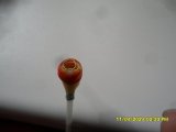 SAM_0336.JPG
