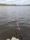 20240423_100533.jpg