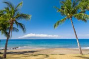 Tropics_Coast_Sea_Hawaii_477988.jpg