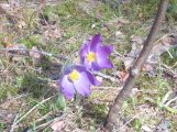 IMG_20240428_094722.jpg