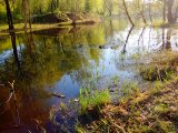 DSC00687.JPG