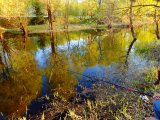 DSC00700.JPG