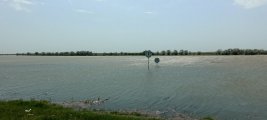 IMG_20240430_124008.jpg