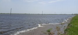 IMG_20240430_125856.jpg