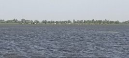 IMG_20240430_125906.jpg