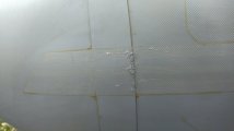 IMG_20240430_164935.jpg