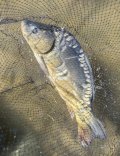 IMG_6225.jpeg