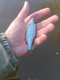 IMG_20240508_072611.jpg