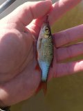 IMG_20240508_082433.jpg