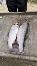 IMG_2635.jpeg
