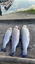 IMG_2674.jpeg