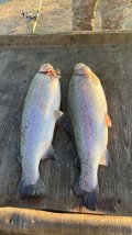 IMG_2682.jpeg