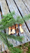IMG-20240508-WA0116.jpg