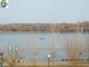 DSCN9379.jpg