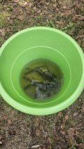IMG-20240509-WA0018.jpg