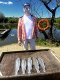 IMG_3377.jpeg