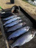 IMG_3403.jpeg