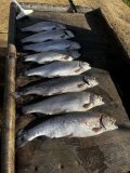 IMG_3409.jpeg