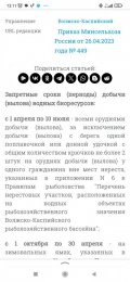 Screenshot_2024-05-20-13-11-29-636_ru.yandex.searchplugin.jpg