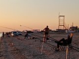 IMG_20240523_195525_565.jpg