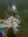 48566d27-3ef6-495f-adb3-f4e119de512e.jpeg