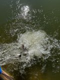 f0bfc163-952f-4e05-b8df-3d6875a15476.jpeg