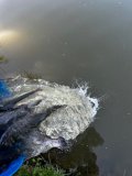 d3a127a0-39d8-43d7-8fa8-1ce9427ca56b.jpeg
