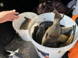 IMG_5238.jpeg