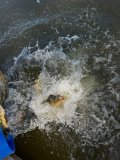 665b7916-5c02-46ce-8bb0-b6f994d03ee9.jpeg