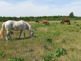 IMG_20240601_112825.jpg