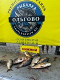 27bcb8c9-845c-4d2b-977a-a3503e712fbc.jpeg