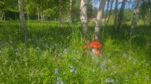 IMG-20240602-WA0003.jpg