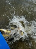 7d7879b0-d8e2-4b83-8d5a-516526e762af.jpeg