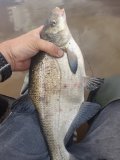 IMG_20240602_142956_254.jpg
