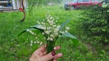 IMG-20240603-WA0018.jpg