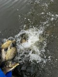 174195d2-44d6-4c43-a803-8b81cb9386df.jpeg