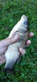 20240606_065932.jpg