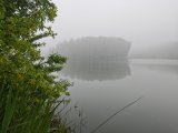 IMG_20240607_093401.jpg