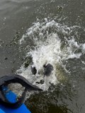 5f915160-f049-4705-aeec-46ea6d3c29c3.jpeg