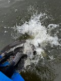 0bf64507-a26a-4529-a66d-6c4ef18c2ab0.jpeg