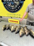 IMG_5977.jpeg