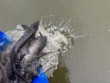 IMG_6021.jpeg