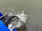 IMG_6003.jpeg