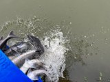 IMG_6004.jpeg