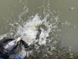 IMG_6006.jpeg