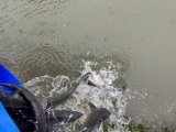 IMG_5993.jpeg