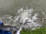 IMG_5994.jpeg