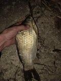 IMG20240611012918.jpg